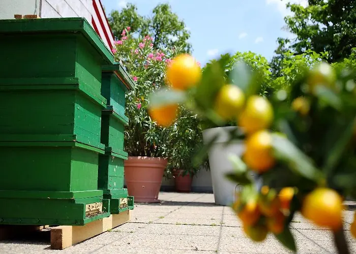 Daniel - Smart Lifestyle Near Centre