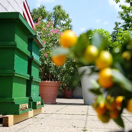 Daniel - Smart Lifestyle Near Centre